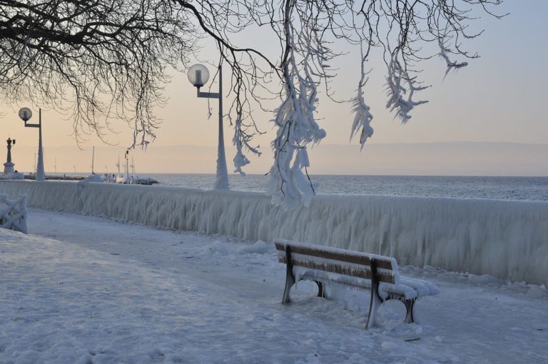 Hiver au Bord du Lac Léman