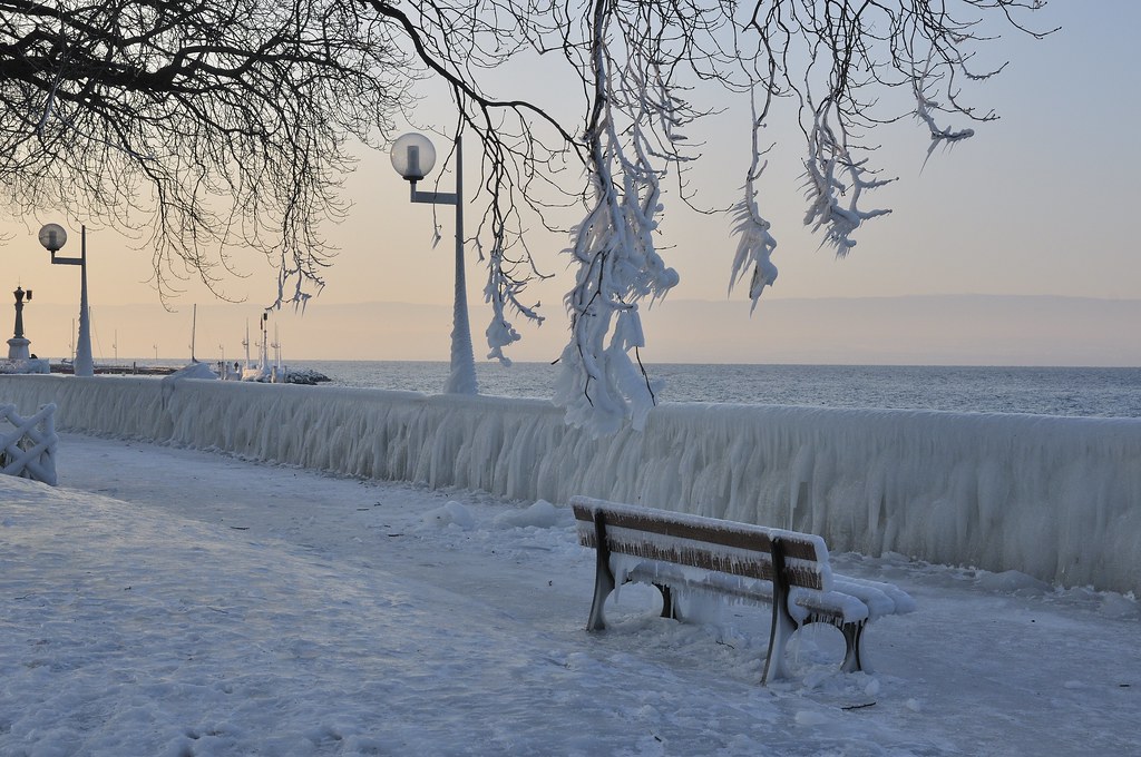 Hiver au Bord du Lac Léman